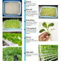 Einzelspannweite NFT Hydroponics vertikaler Farm Gewächshaus